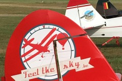 Lady Bush Pilot - Neighbors Trip