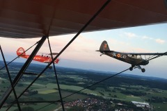 Lady Bush Pilot - Neighbors Trip