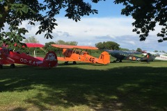 Lady Bush Pilot - Neighbors Trip
