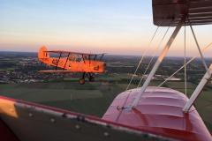 Lady Bush Pilot - Neighbors Trip