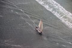Lady Bush Pilot - Neighbors Trip