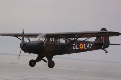 Lady Bush Pilot - Neighbors Trip