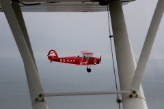Lady Bush Pilot - Neighbors Trip
