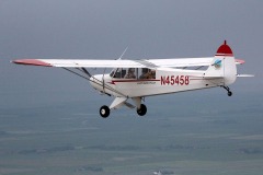 Lady Bush Pilot - Neighbors Trip
