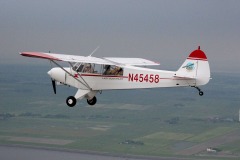 Lady Bush Pilot - Neighbors Trip