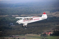 Lady Bush Pilot - Neighbors Trip