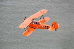 Lady Bush Pilot - Neighbors Trip