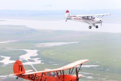 Lady Bush Pilot - Neighbors Trip