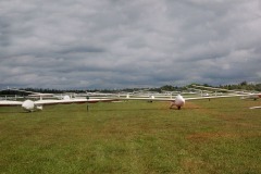 Lady Bush Pilot - Neighbors Trip