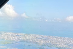 016OOA-IMG_8727