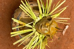 022OOA-IMG_8821