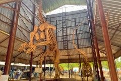 052OOA-IMG_9161