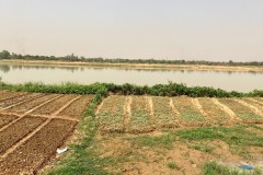 058OOA-IMG_9195