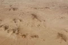 089OOA-IMG_9344