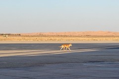 132OOA-IMG_9564