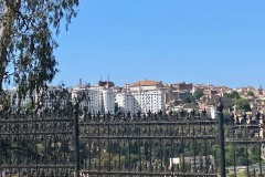 153OOA-IMG_9649