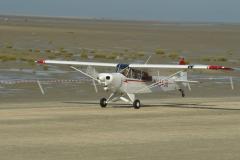 1_pipercub.60