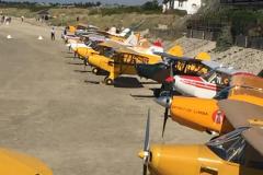 Lady Bush Pilot - Piper Club