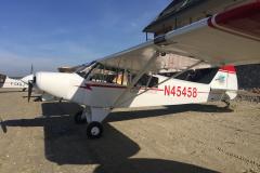 Lady Bush Pilot - Piper Club