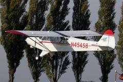 pipercub.39