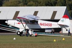 pipercub.40