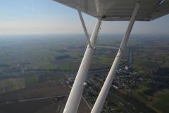 pipercub.41