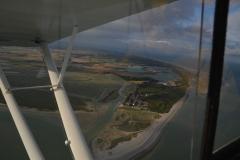pipercub.43