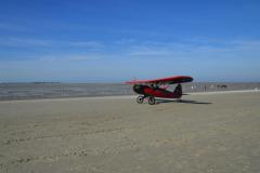 pipercub.46