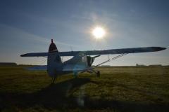 pipercub.48