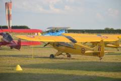 pipercub.50