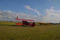 pipercub.51