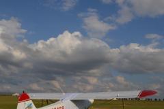 pipercub.52