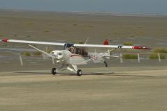 pipercub.58