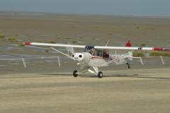 pipercub.63