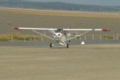 pipercub.64