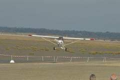 pipercub.72