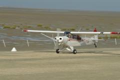 pipercub.74