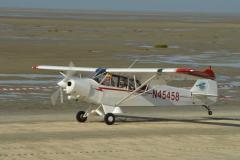 pipercub.76
