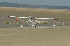 pipercub.77