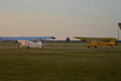 pipercub.78