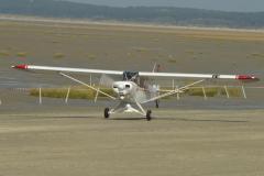 pipercub.79