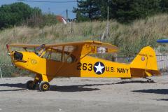pipercub.8