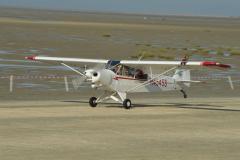 pipercub.81