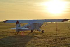 pipercub.82