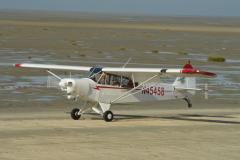 pipercub.85