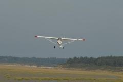 pipercub.88
