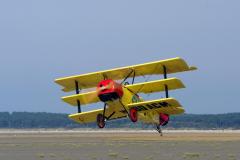 pipercub.9