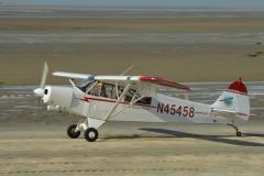 pipercub.91