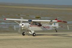 pipercub.92