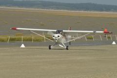 pipercub.93